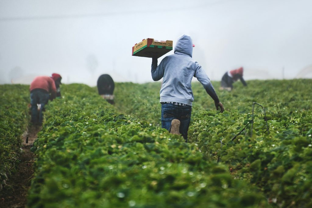 migrantは、季節労働者を表す時の移民として使われることが多いです